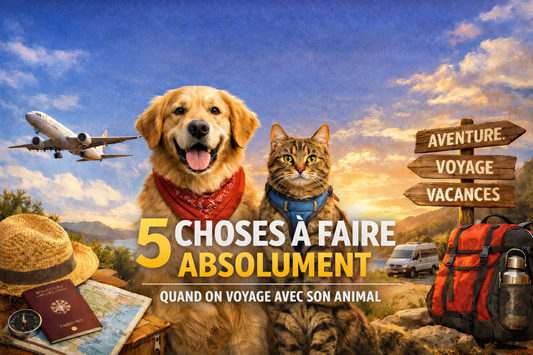 5 Choses à Faire Absolument Quand on Voyage avec son Animal de Compagnie