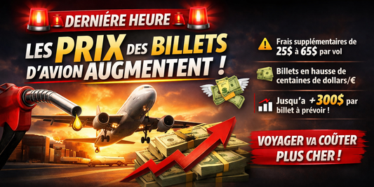 Voyage 2026 - billet avion